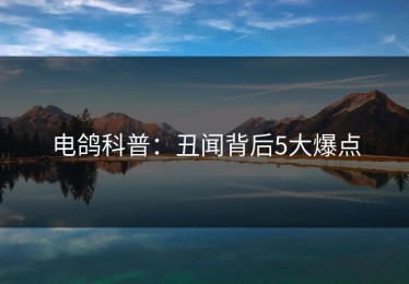 电鸽科普：丑闻背后5大爆点