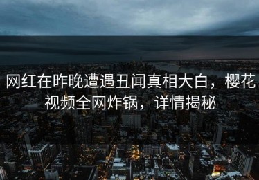 网红在昨晚遭遇丑闻真相大白，樱花视频全网炸锅，详情揭秘