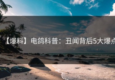 【爆料】电鸽科普：丑闻背后5大爆点