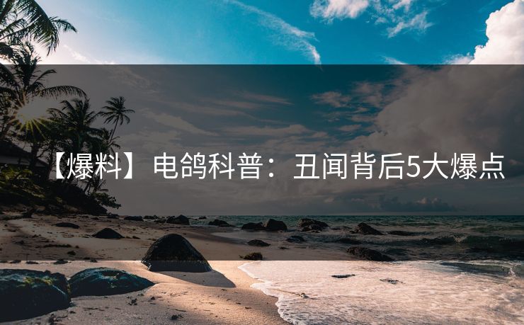 【爆料】电鸽科普:丑闻背后5大爆点 【爆料】电鸽科普:丑闻背后5大爆点
