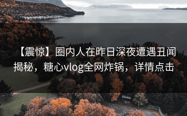 【震惊】圈内人在昨日深夜遭遇丑闻 揭秘，糖心vlog全网炸锅，详情点击