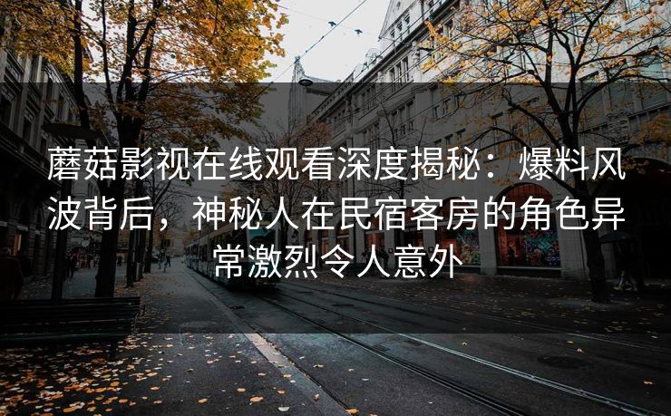 蘑菇影视在线观看深度揭秘:爆料风波背后,神秘人在民宿客房的角色异常激烈令人意外 蘑菇影视在线观看深度揭秘:爆料风波背后,神秘人在民宿客房的角色异常激烈令人意外